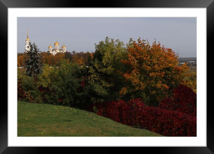 Beautiful autumn panorama, landscape, top view, Framed Mounted Print by Karina Osipova