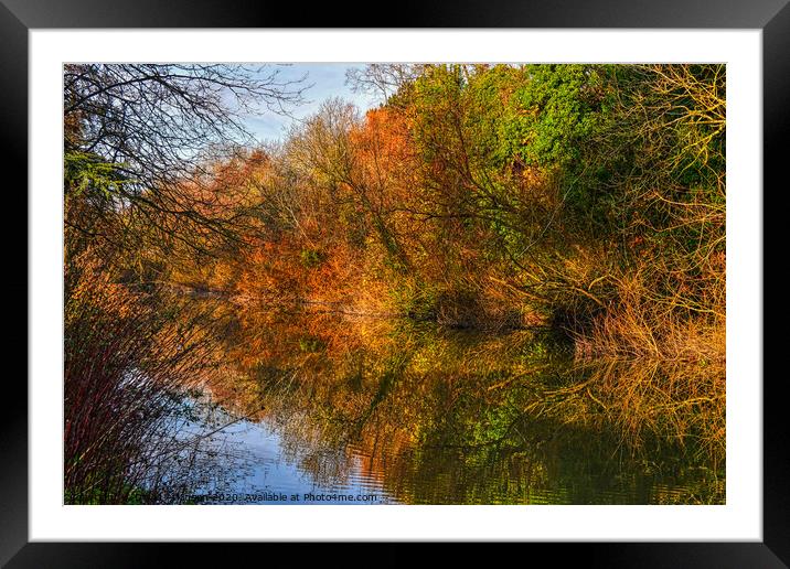 Autumn Reflections Framed Mounted Print by David Atkinson