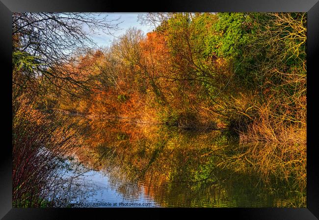Autumn Reflections Framed Print by David Atkinson