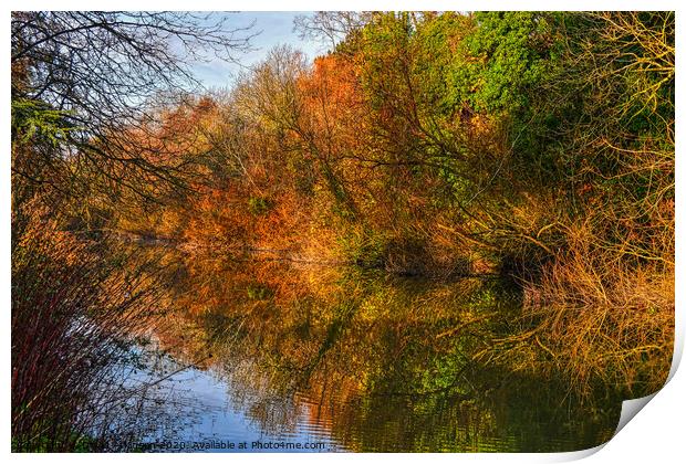 Autumn Reflections Print by David Atkinson