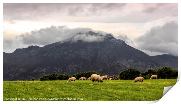 Mountains of Mourne, Northern Ireland Print by jim Hamilton