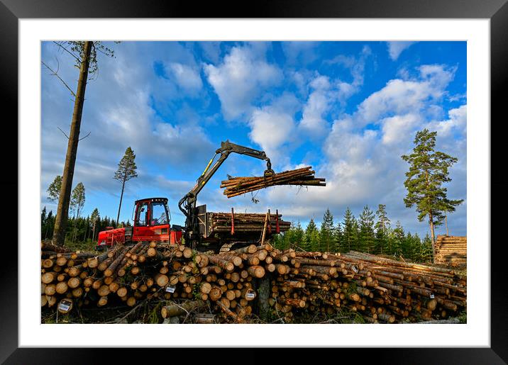 Forest machine lifting timber to a pile of timber Framed Mounted Print by Jonas Rönnbro