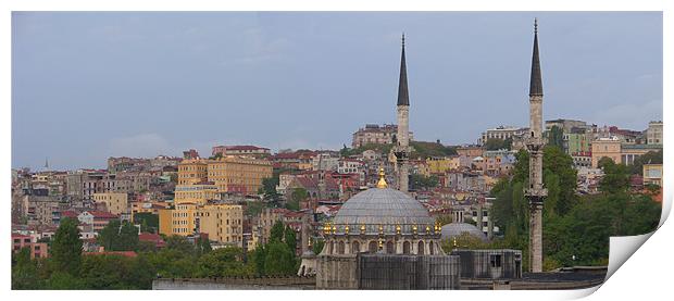 Istanbul from the Bosphorus Print by Tom Gomez