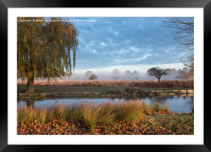 Bushy Park November morning Framed Mounted Print by Kevin White