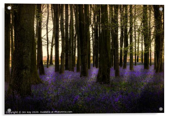 Blubell Wood Dawn Acrylic by Jim Key