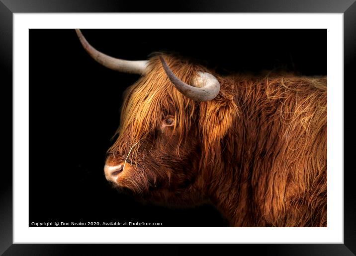 Majestic Rustic Highland Cattle Framed Mounted Print by Don Nealon