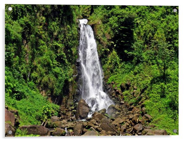 Trafalgar falls waterfall in Dominica, a tiny unsp Acrylic by Karen Noble