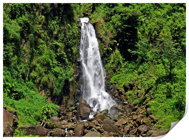 Trafalgar falls waterfall in Dominica, a tiny unsp Print by Karen Noble