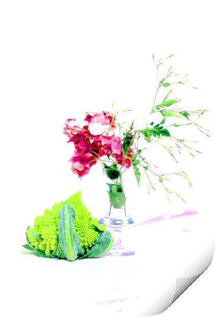 Broccoli and flowers in high key Print by Jose Manuel Espigares Garc