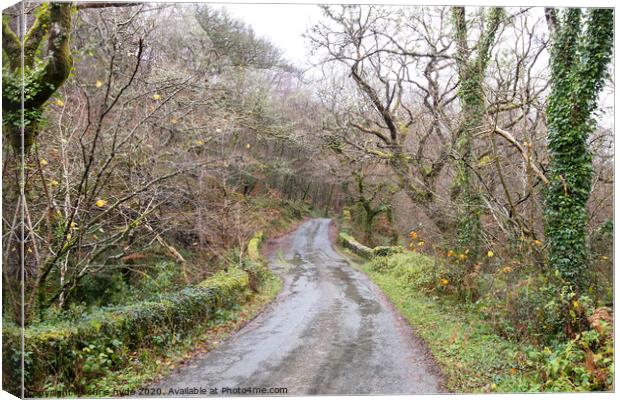 Country Lane in Wales Canvas Print by chris hyde