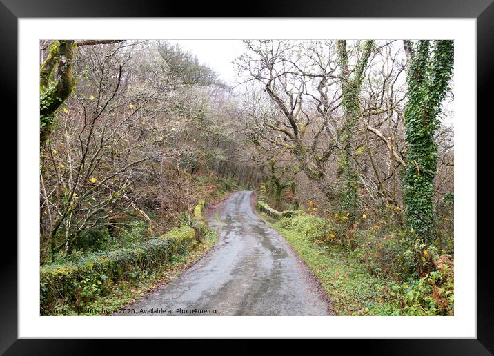 Country Lane in Wales Framed Mounted Print by chris hyde