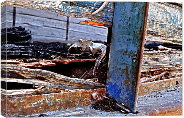 Old Wood and Rust Canvas Print by Karen Martin
