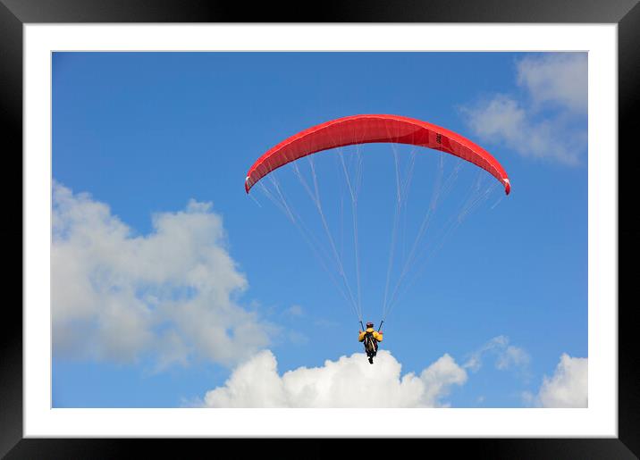 Paraglider Framed Mounted Print by Arterra 