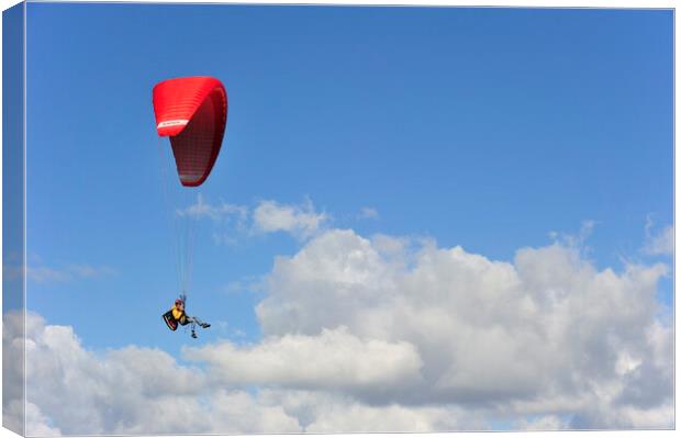 Paragliding Canvas Print by Arterra 