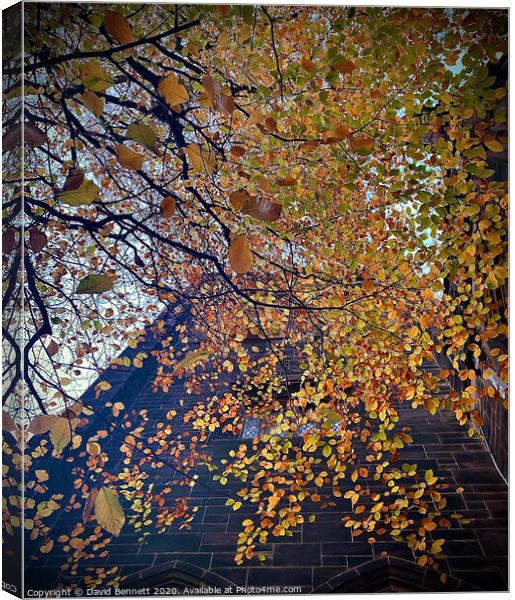 Autumn Canvas Print by David Bennett