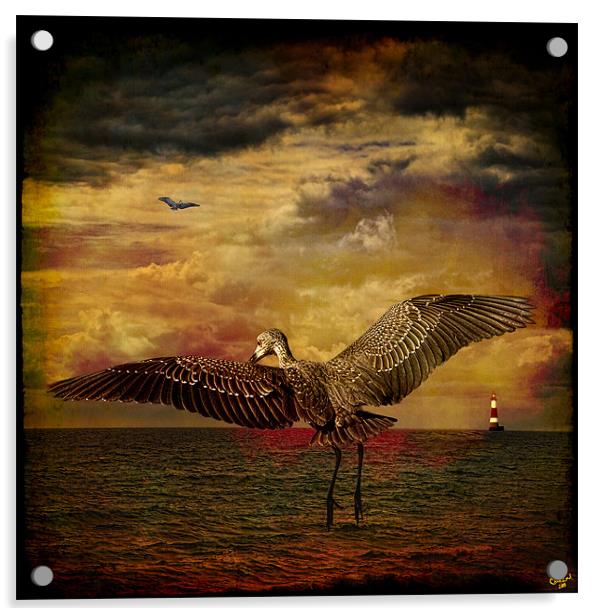 Herons Acrylic by Chris Lord
