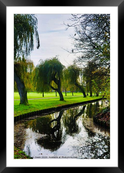 Tree reflections Framed Mounted Print by Sam Owen