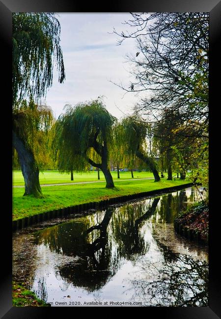 Tree reflections Framed Print by Sam Owen