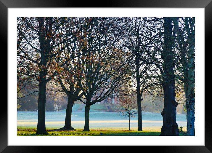 Frost and trees Framed Mounted Print by Sam Owen