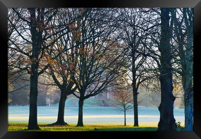 Frost and trees Framed Print by Sam Owen