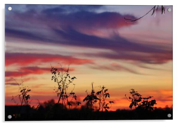 Sunset in Norfolk  Acrylic by Sam Owen