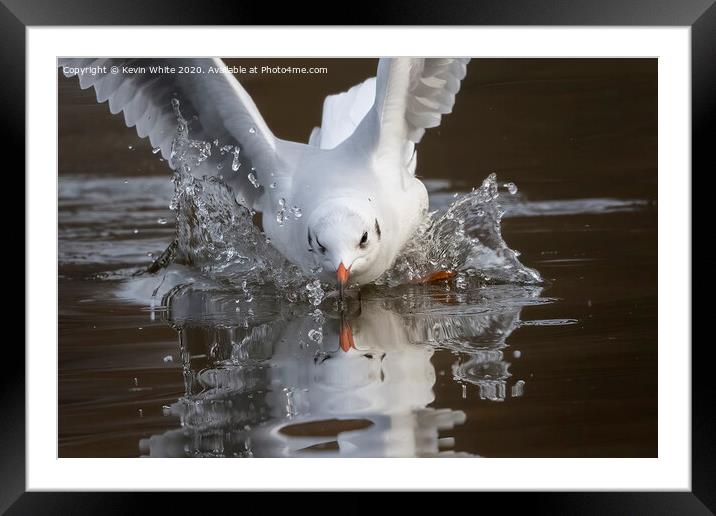 Making a splash Framed Mounted Print by Kevin White