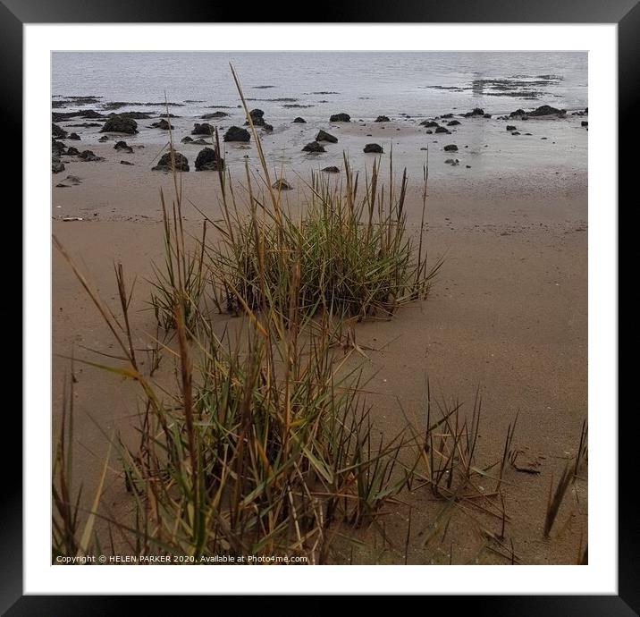 Grassy sand at mouth of River Neath Framed Mounted Print by HELEN PARKER