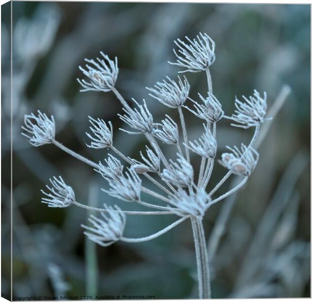 lFrosted grass Canvas Print by Simon Johnson