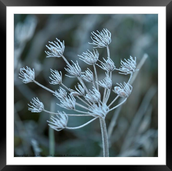 lFrosted grass Framed Mounted Print by Simon Johnson