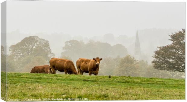 Misty Derbyshire Canvas Print by Lisa Hands