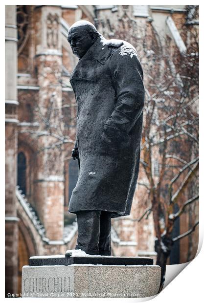 Churchill under snow Print by David Caspar