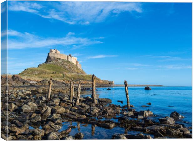 Holy Island. Canvas Print by Tommy Dickson