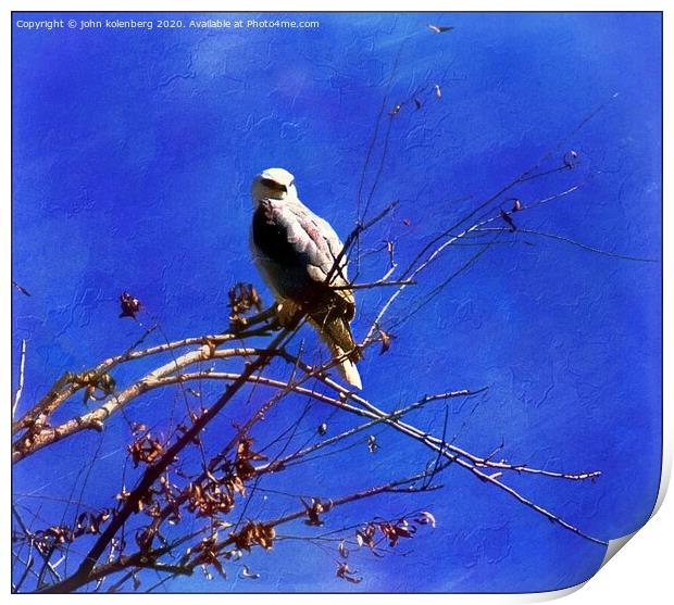 winter eagle Print by john kolenberg