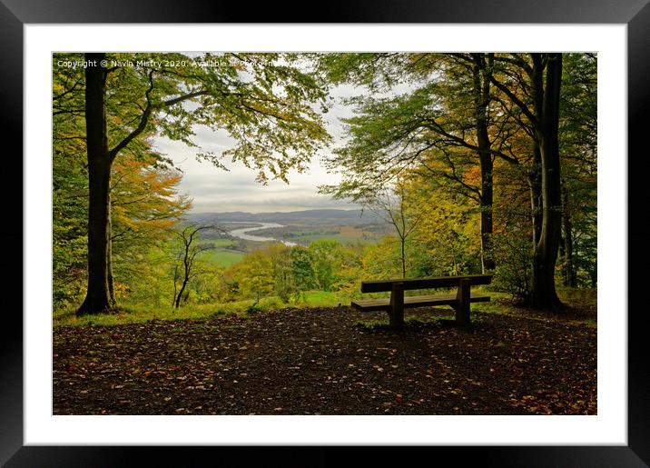 A viewpoint in the Kinnoull Hill Woodland, Perth Scotland Framed Mounted Print by Navin Mistry