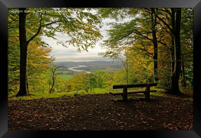 A viewpoint in the Kinnoull Hill Woodland, Perth Scotland Framed Print by Navin Mistry