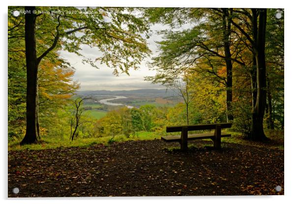 A viewpoint in the Kinnoull Hill Woodland, Perth Scotland Acrylic by Navin Mistry