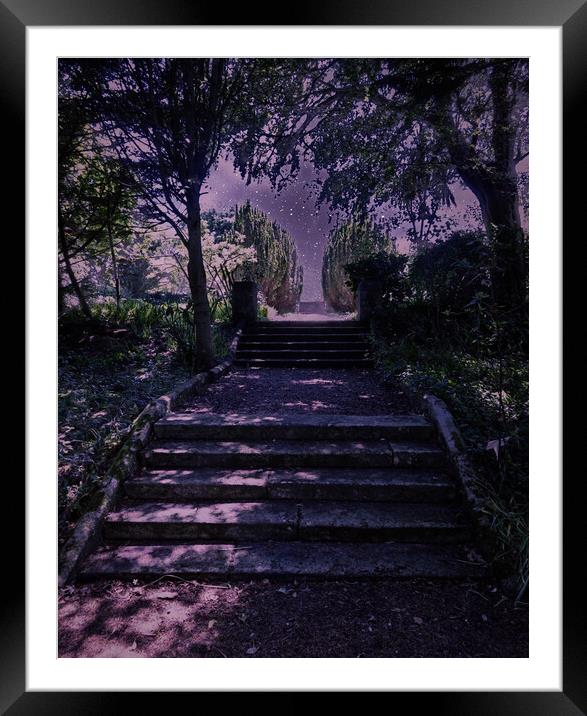Mystical Stairway to Wishes Framed Mounted Print by Beryl Curran