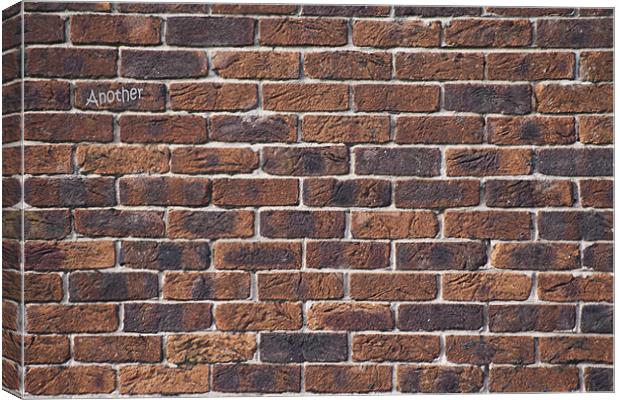 Another brick in the Wall Canvas Print by Peter Elliott 