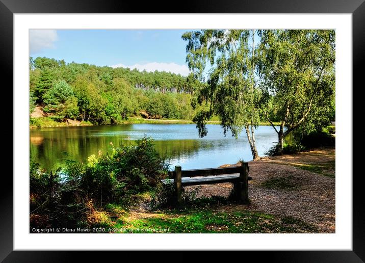 Cannock Chase, a seat by the  Lake  Framed Mounted Print by Diana Mower