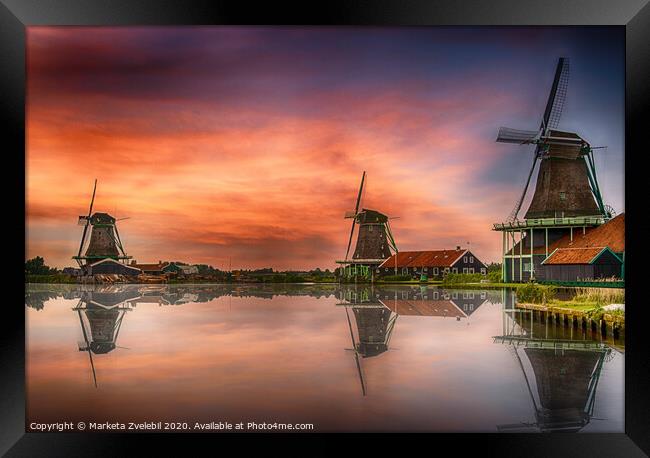Zaanse Schans Windmills at sunset with reflections. Framed Print by Marketa Zvelebil