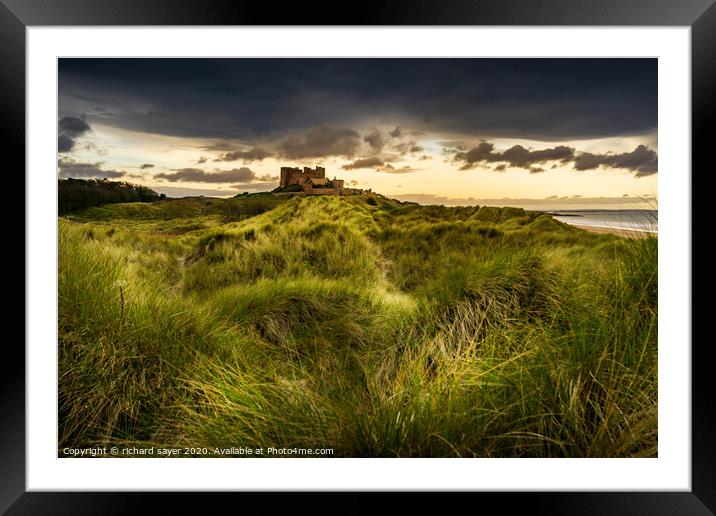 Among the Grass Framed Mounted Print by richard sayer