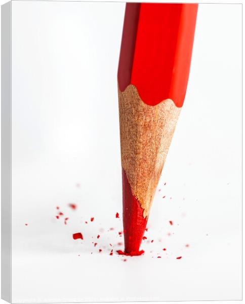 Broken tip of red pencil Canvas Print by Antonio Gravante