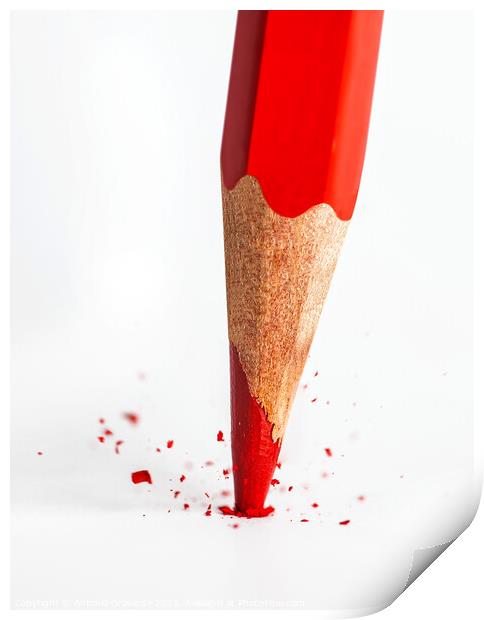 Broken tip of red pencil Print by Antonio Gravante