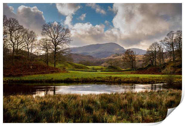 Langdales from near Elterwater Cumbria Print by Michael Brookes
