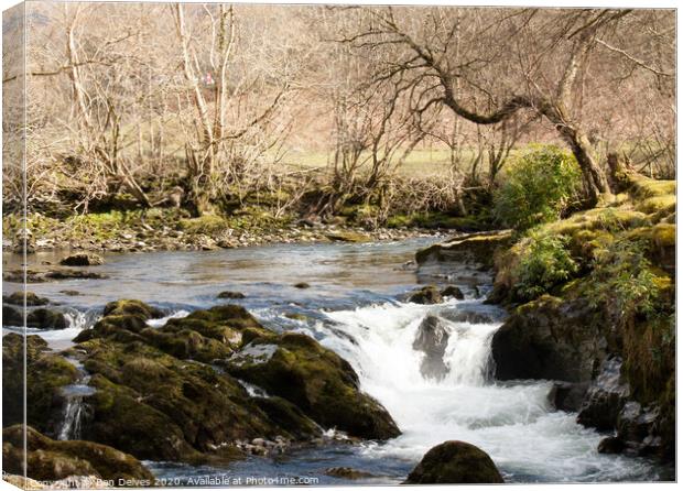 Stream in wales Canvas Print by Ben Delves