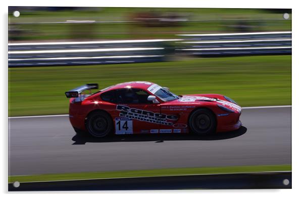 Ginetta GT Supercup Acrylic by mike radcliffe