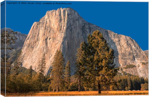 El Capitan, also known as El Cap in Yosemite  Canvas Print by Peter Stuart