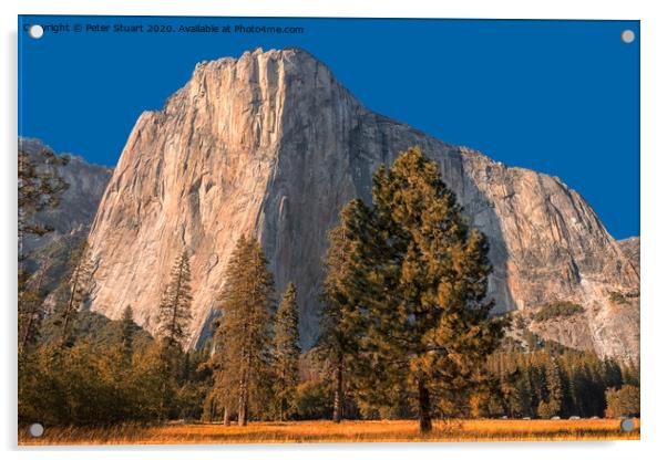 El Capitan, also known as El Cap in Yosemite  Acrylic by Peter Stuart