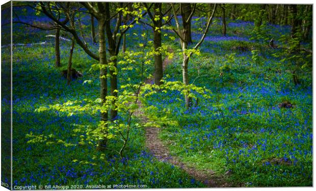 Green and blue. Canvas Print by Bill Allsopp