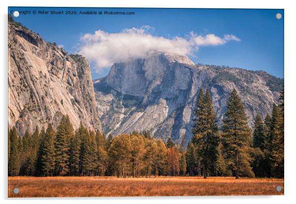 Half Dome is a granite dome at the eastern end of Yosemite Valley Acrylic by Peter Stuart
